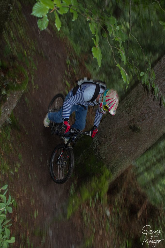 Herbert Kuster in Engelberg - biking downhill engelberg forest herbert kuster regen wald 