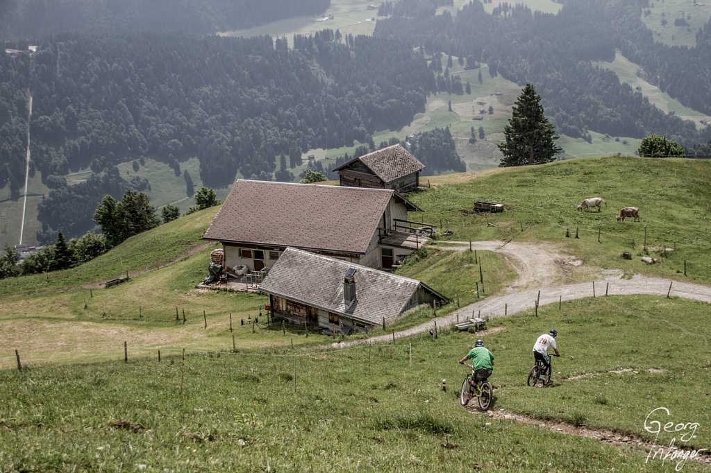 Herbert Kuster, Georg  Infanger in Engelberg - alp alps brunni central switzerland cows downhill engelberg farm georg infanger herbert kuster kona ristis scott swiss central zentralschweiz 