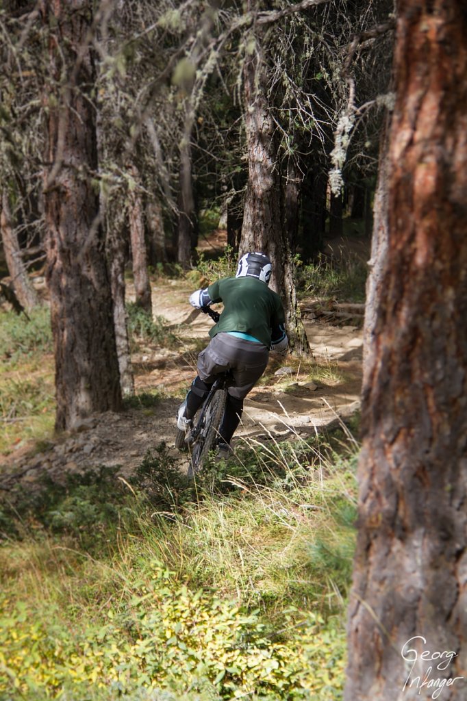 Jelena Infanger in Livigno IT - bikepark biking downhill forest jelena jelena infanger jeli livigno wald 