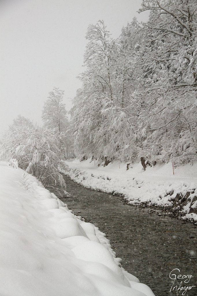  - bäume engelberg fluss schnee schneefall schweiz switzerland weiss 