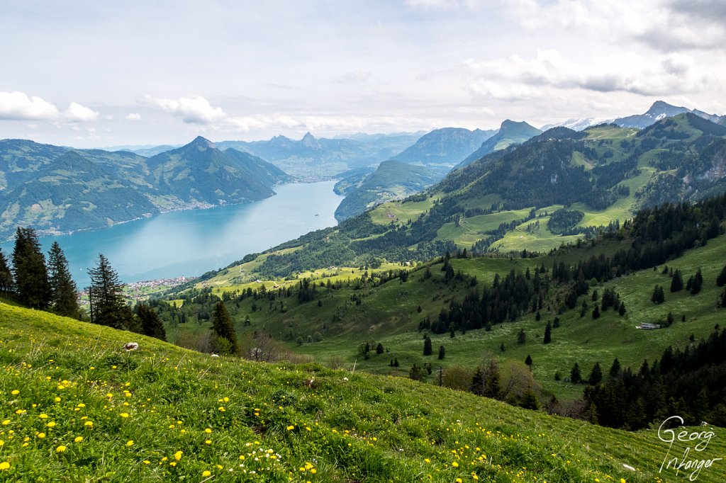 Vierwaldstättersee from Buochserhorn -  